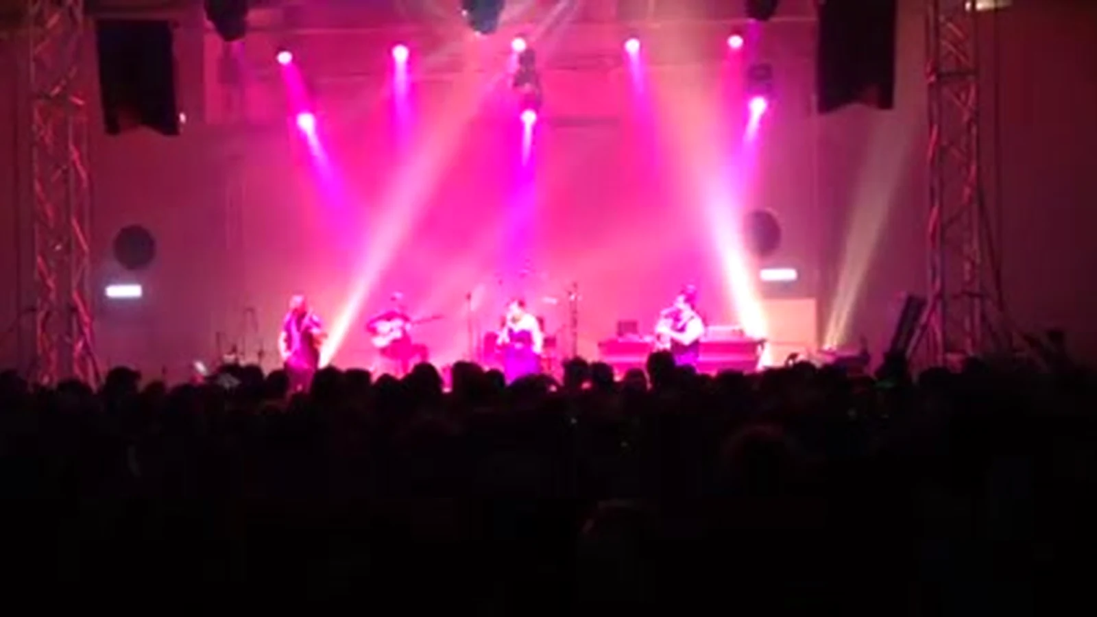 Pubblico durante un concerto